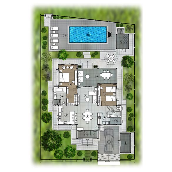 TLR plan