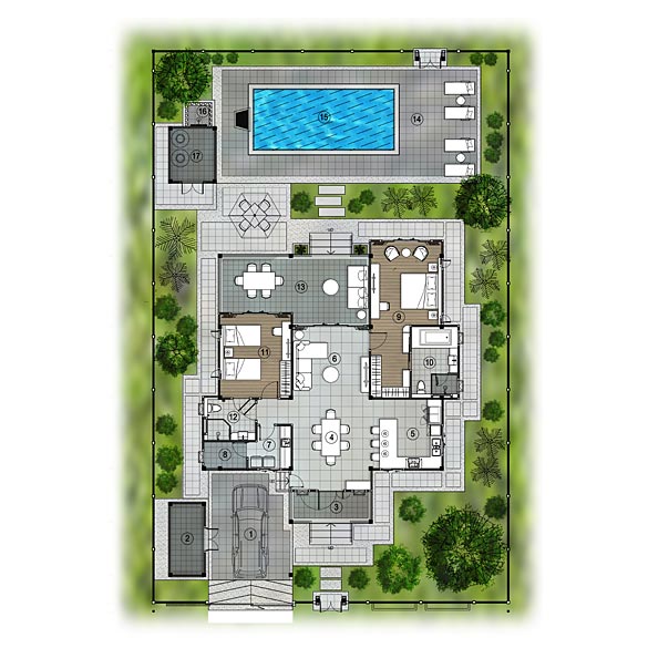 TLR plan